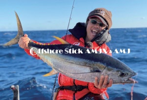 SMITH AMJX RODS